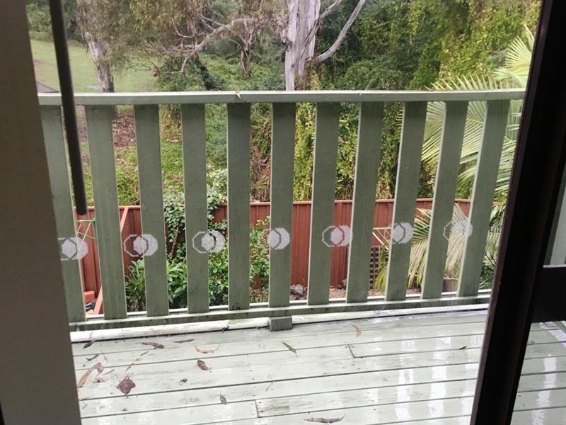 11/226 Harrow Road, Glenfield NSW 2167