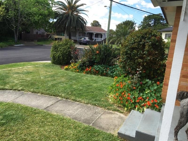 3 Grahame Ave, Glenfield NSW 2167