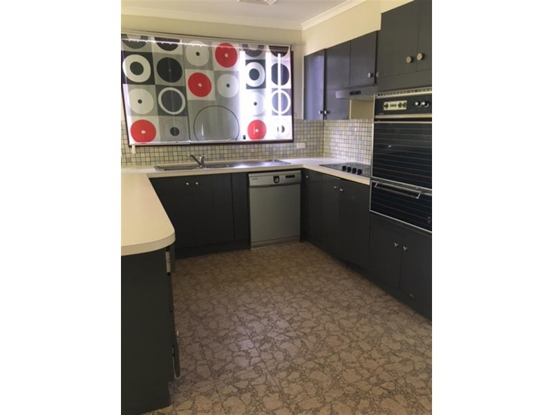 133 Belmont Road, Glenfield NSW 2167