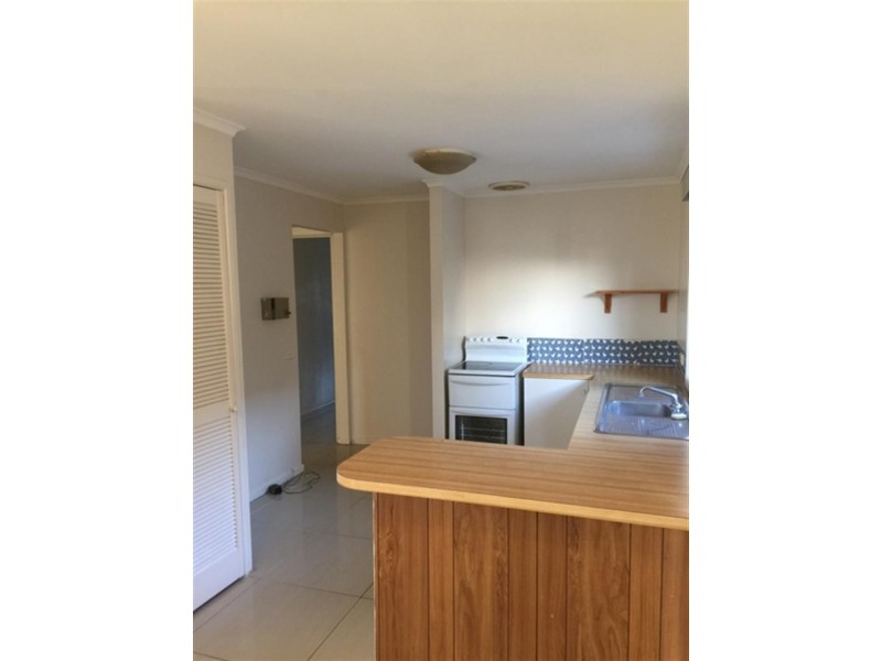Macquarie Fields NSW 2564
