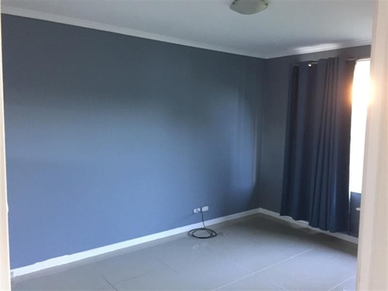 Macquarie Fields NSW 2564