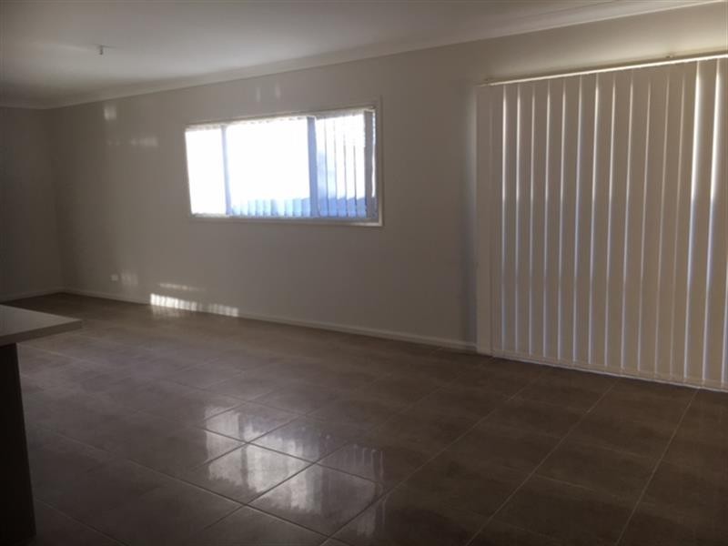 16 Stafford St, Minto NSW 2566