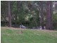 10 River St, Erina NSW 2250