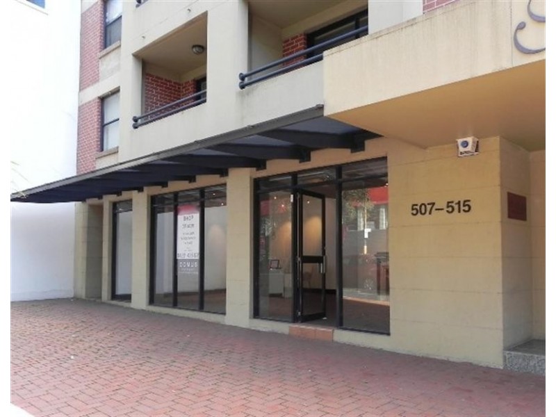 507 Elizabeth St, Surry Hills NSW 2010