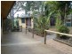 3 Warrah  Pl, Unanderra NSW 2526