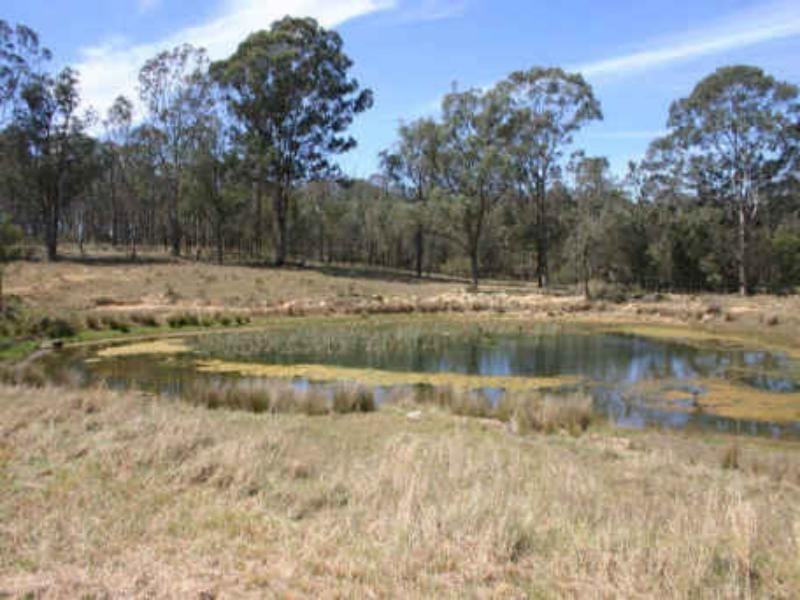 241 Wilton Park  Rd, Wilton NSW 2571