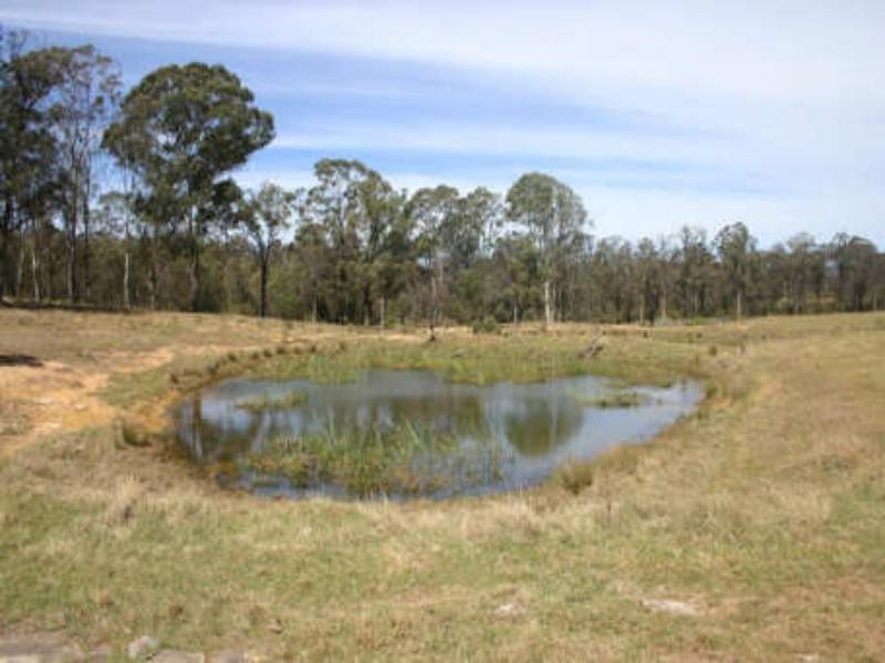 241 Wilton Park  Rd, Wilton NSW 2571