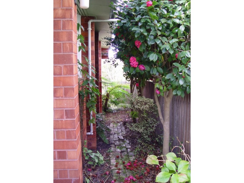 9 Bradley Ave, Mount Kembla NSW 2526