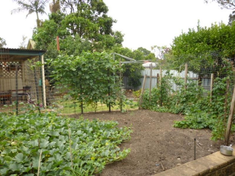 26 Kapooka Ave, Dapto NSW 2530