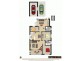 17 Park Rd, Bellambi NSW 2518 Floorplan