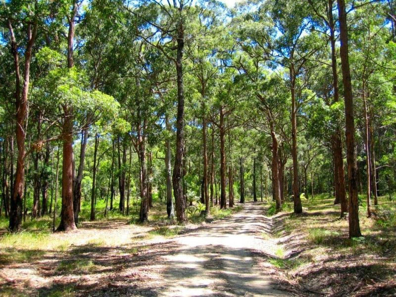 Pacific Palms NSW 2428