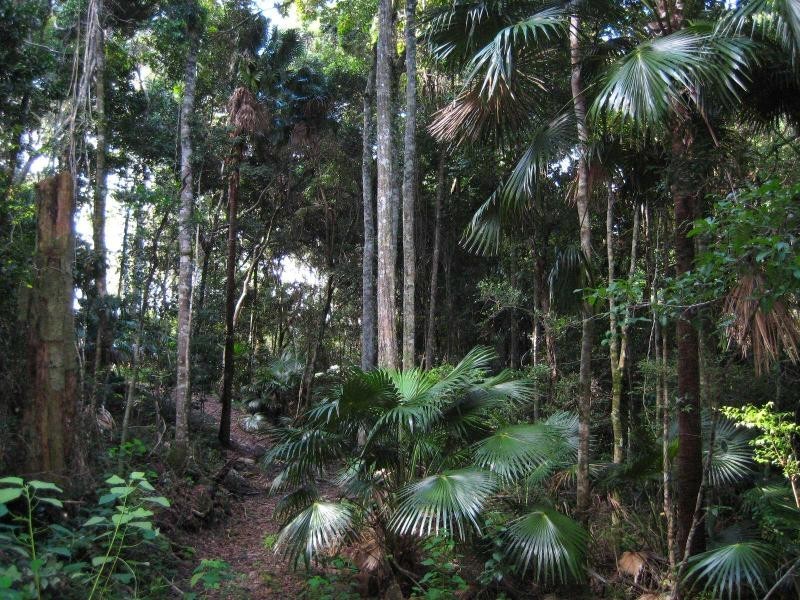 Pacific Palms NSW 2428