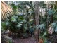 Coomba Park NSW 2428