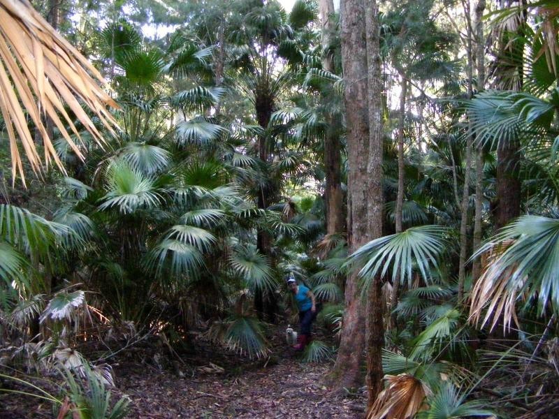 Coomba Park NSW 2428