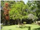 9 Hibiscus Cres, Smiths Lake NSW 2428