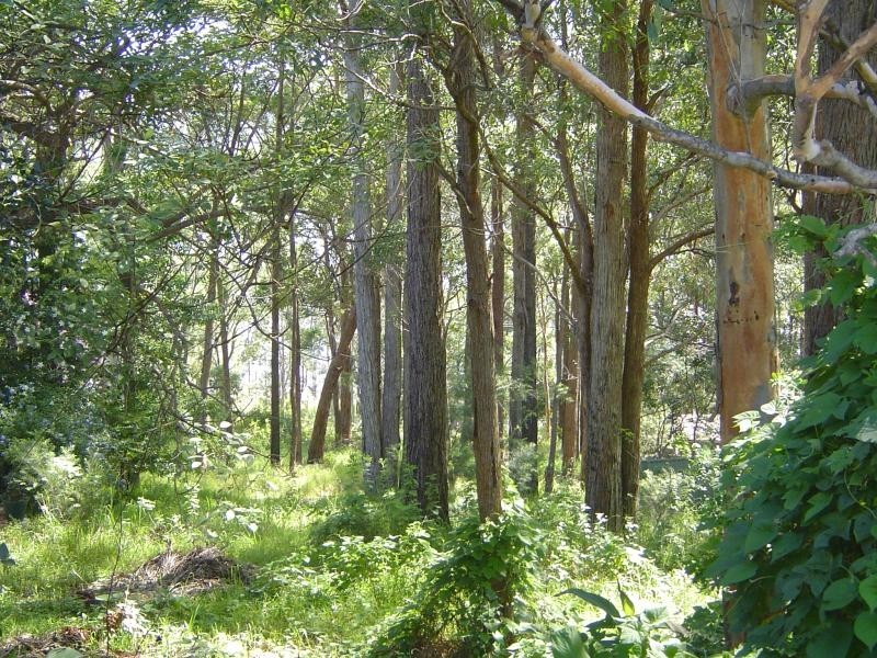 20 Crown  Cl, Smiths Lake NSW 2428