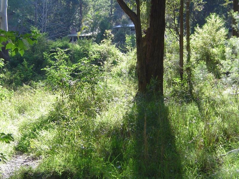 16 Crown Cl, Smiths Lake NSW 2428