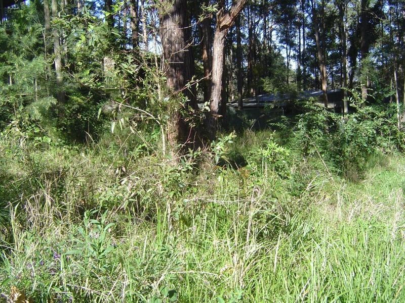 16 Crown Cl, Smiths Lake NSW 2428