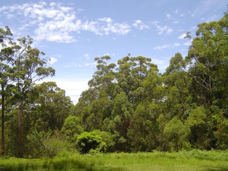 Pacific Palms NSW 2428