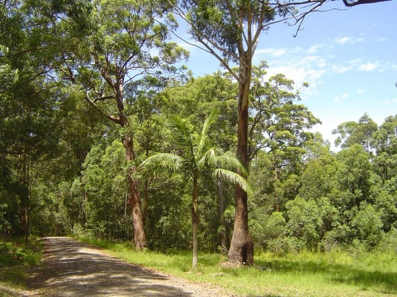 Pacific Palms NSW 2428