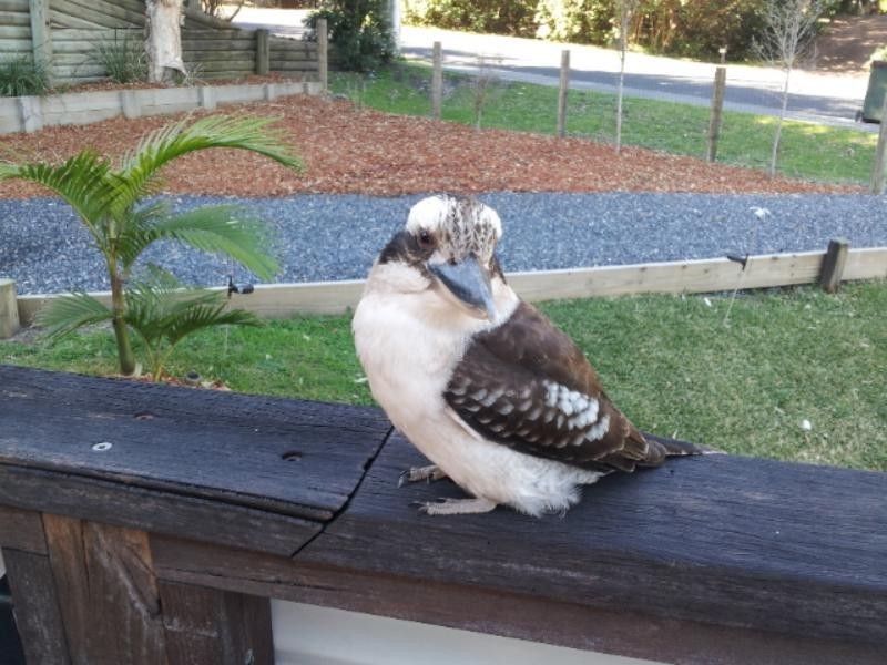 129 Boomerang Dr, Boomerang Beach NSW 2428