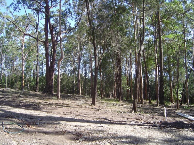 Coomba Park NSW 2428