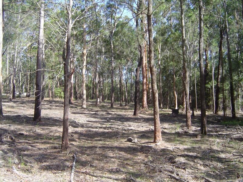 Coomba Park NSW 2428