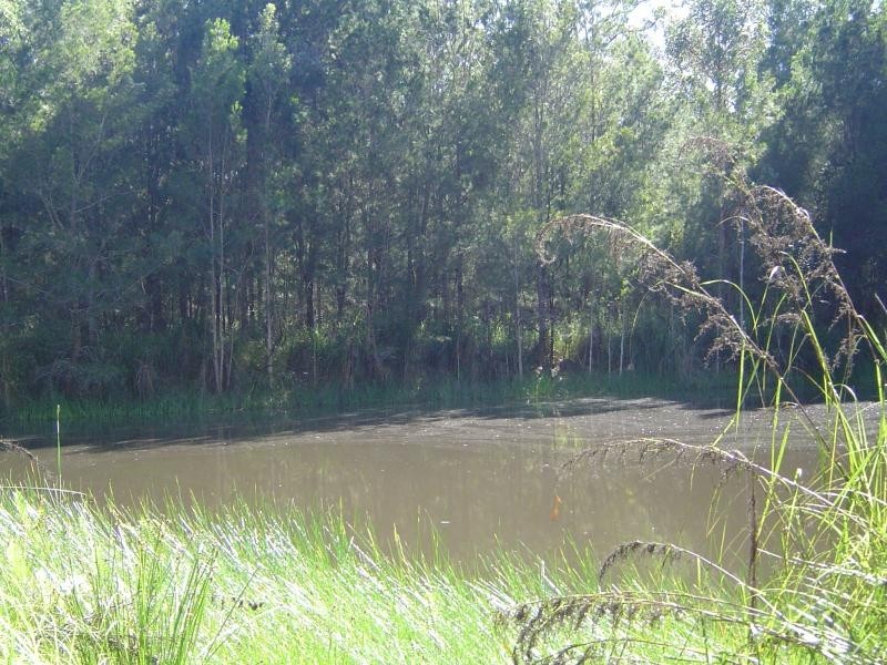 Coomba Park NSW 2428