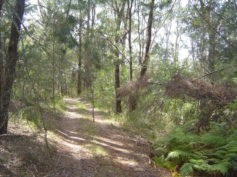 Coomba Park NSW 2428