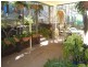 23 Charles St, Smiths Lake NSW 2428