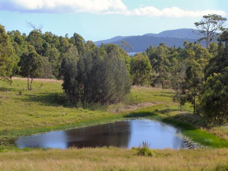 1644 The Lakes Way, Mayers Flat NSW 2423