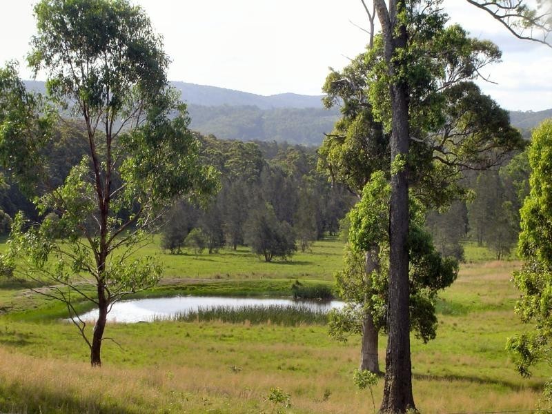 1644 The Lakes Way, Bungwahl NSW 2423