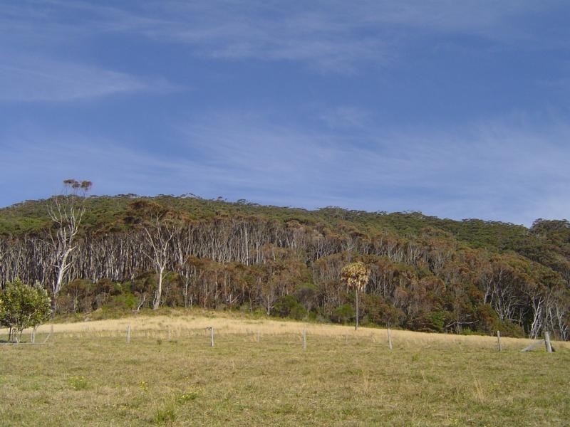 113 Newmans Ave, Blueys Beach NSW 2428