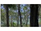 1 Scarfe  St, Smiths Lake NSW 2428