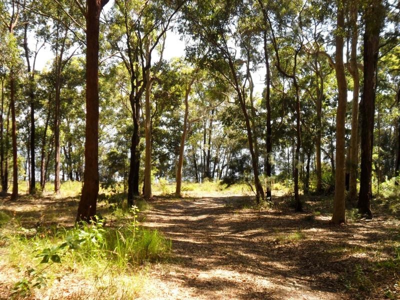 947 Coomba Rd, Pacific Palms NSW 2428