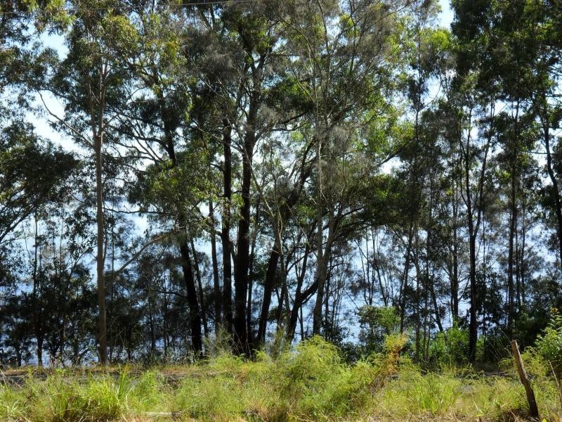 947 Coomba Rd, Pacific Palms NSW 2428