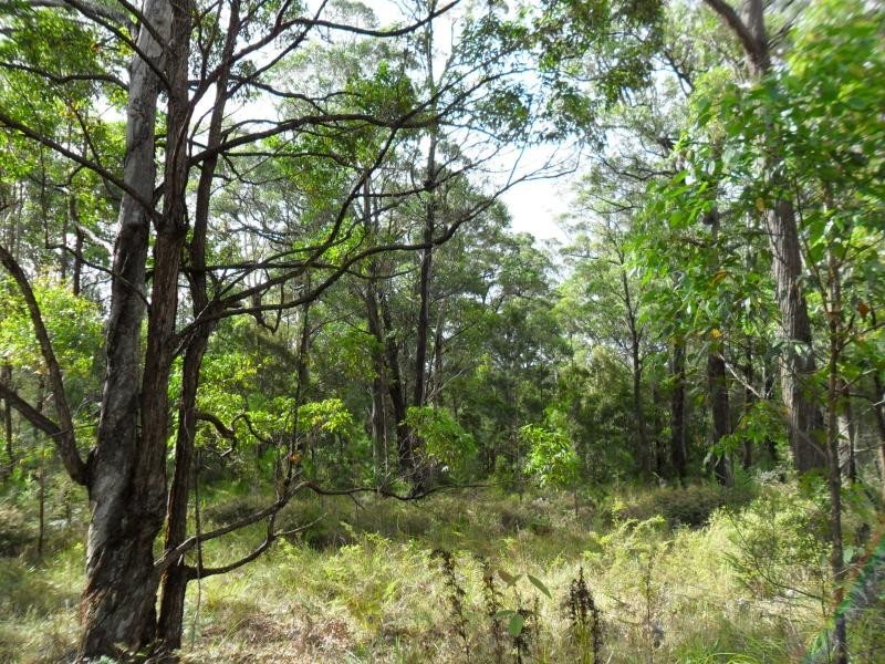 Lot 4 Ede Dr, Coomba Bay NSW 2428