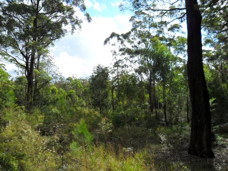 Lot 4 Ede Dr, Coomba Bay NSW 2428