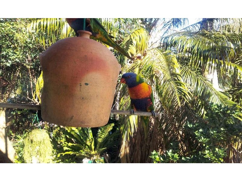 20 Wallaroo St, Coomba Park NSW 2428