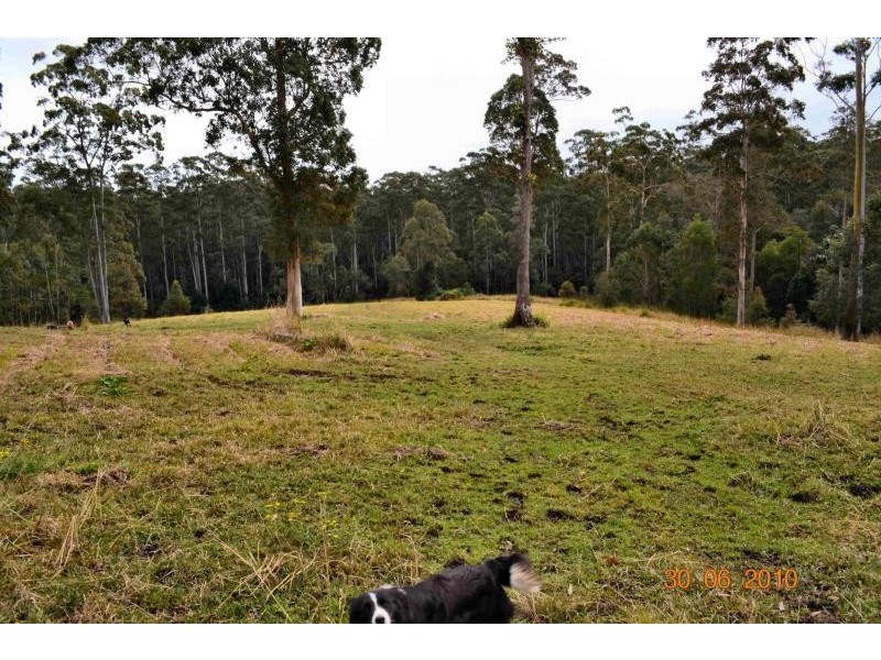 322 Hubbards Nth Rd, Bungwahl NSW 2423