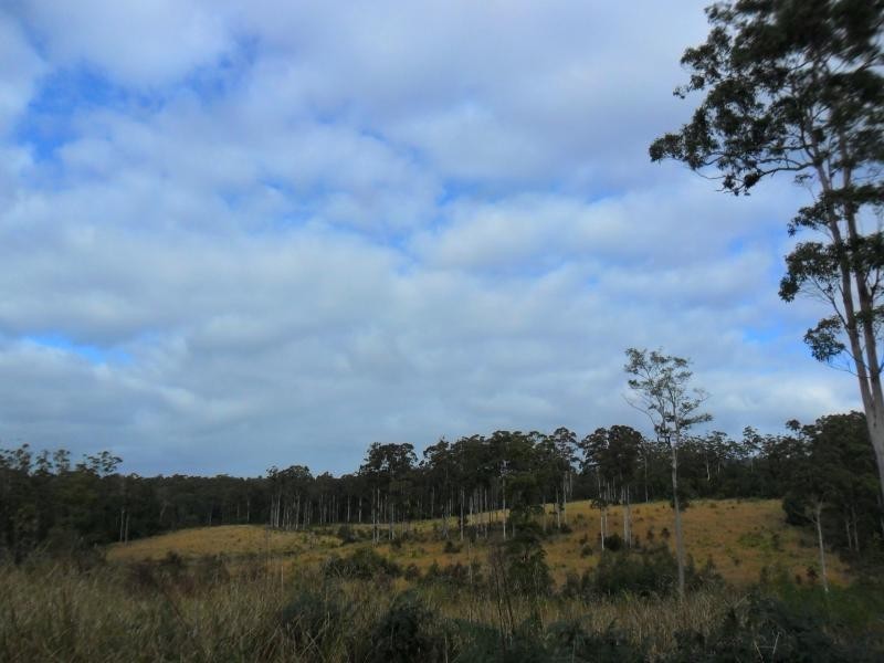 322 Hubbards Nth Rd, Bungwahl NSW 2423