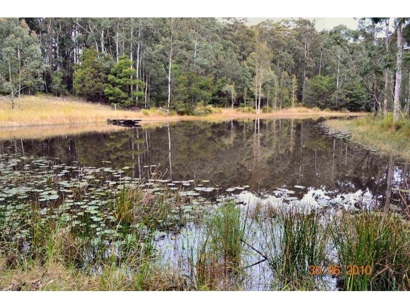 322 Hubbards Nth Rd, Bungwahl NSW 2423