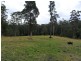 322 Hubbards Nth Rd, Bungwahl NSW 2423