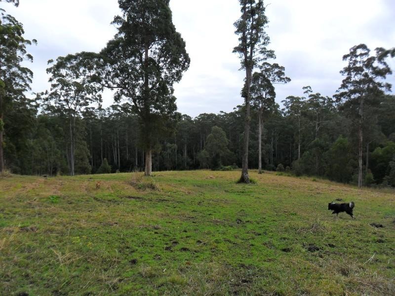 322 Hubbards Nth Rd, Bungwahl NSW 2423