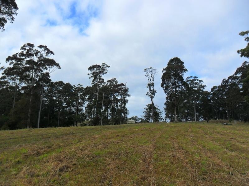 322 Hubbards Nth Rd, Bungwahl NSW 2423