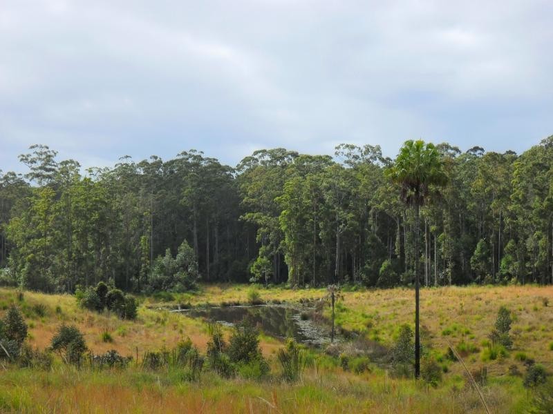 322 Hubbards Nth Rd, Bungwahl NSW 2423