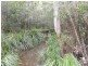 322 Hubbards Nth Rd, Bungwahl NSW 2423