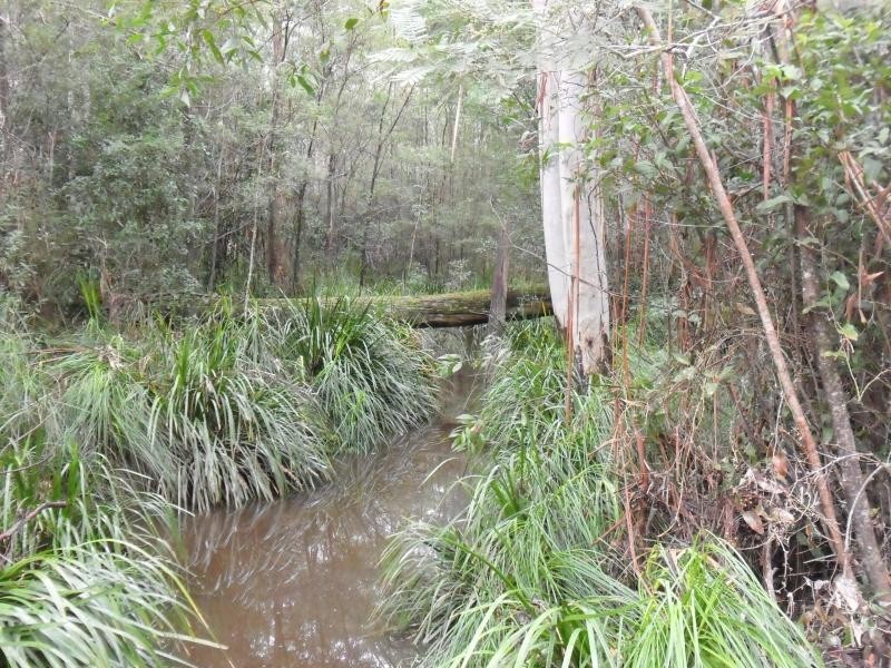 322 Hubbards Nth Rd, Bungwahl NSW 2423