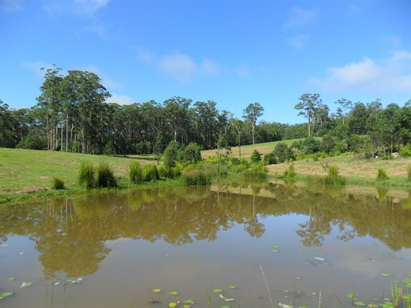 322 Hubbards Nth Rd, Wootton NSW 2423