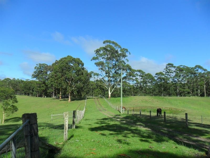 322 Hubbards Nth Rd, Wootton NSW 2423